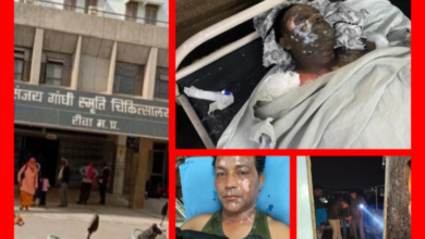 Screenshot 20251229 094615.Gallery