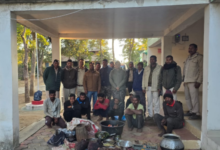 Screenshot 20251229 120554.WhatsApp