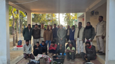 Screenshot 20251229 120554.WhatsApp