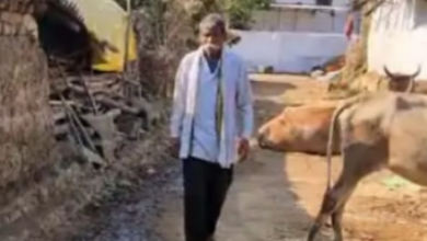 Screenshot 20251229 134659.WhatsApp