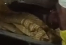 Screenshot 20251229 191449.Dainik Bhaskar