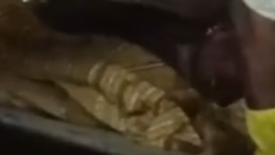 Screenshot 20251229 191449.Dainik Bhaskar