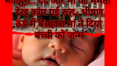 Screenshot 20251230 123903.Gallery