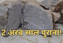 अरावली पर्वत में छिपा है 2 अरब साल पुराना कौन सा राज? 11 Untitled 2 copy 2