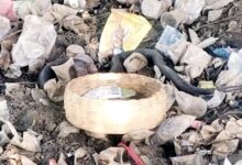 शराब के नशे में सपेरा दुकान के सामने छोड़ गया कोबरा, शराब खरीदने से भी डरे लोग 11 Untitled 7 copy 8