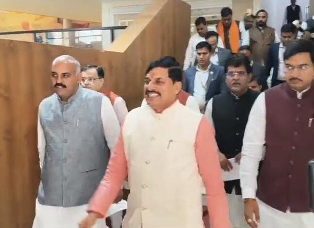 WhatsApp Image 2025 12 02 at 13.37.09