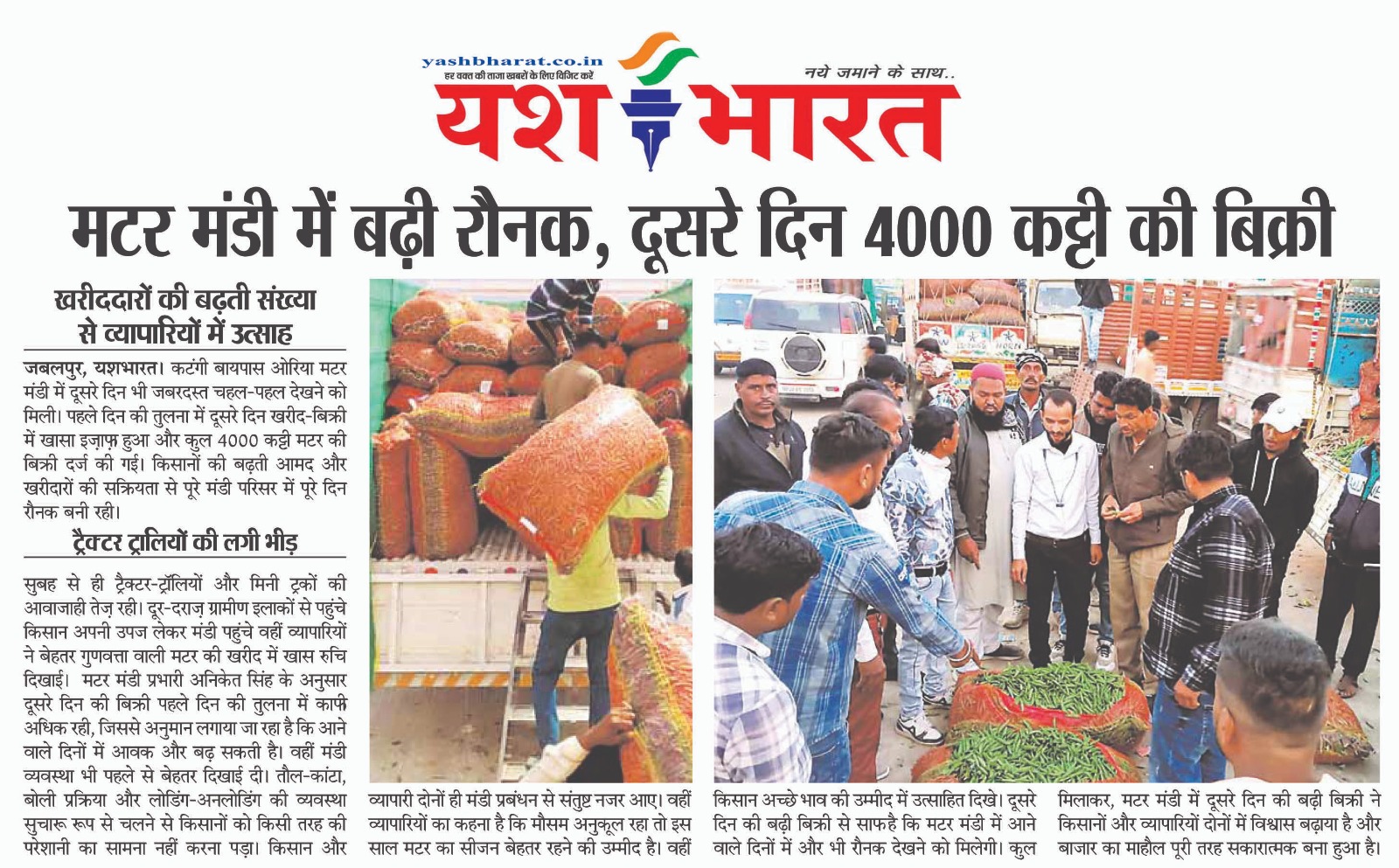 मटर मंडी में बढ़ी रौनक, दूसरे दिन 4000 कट्टी की हुई बिक्री 2 WhatsApp Image 2025 12 03 at 13.51.24