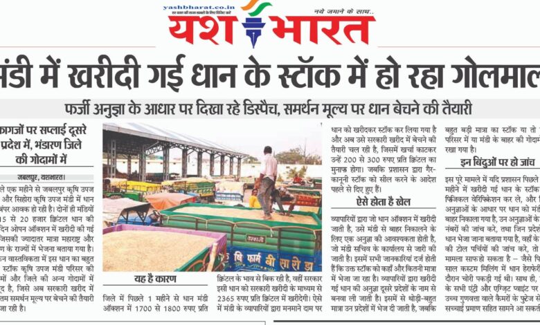 WhatsApp Image 2025 12 04 at 1.53.52 PM