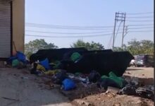 WhatsApp Image 2025 12 12 at 12.02.32