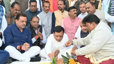 WhatsApp Image 2025 12 13 at 7.47.27 PM