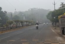 WhatsApp Image 2025 12 19 at 09.05.51