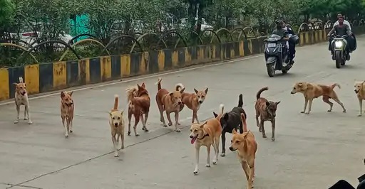 WhatsApp Image 2025 12 19 at 10.53.59