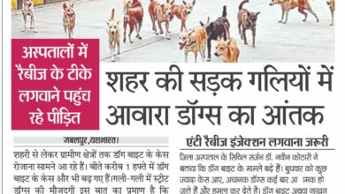 WhatsApp Image 2025 12 19 at 13.45.52