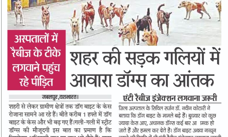 WhatsApp Image 2025 12 19 at 13.45.52