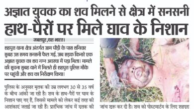 WhatsApp Image 2025 12 20 at 14.08.16