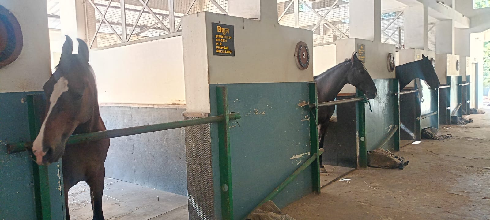 WhatsApp Image 2025 12 24 at 14.26.14 1