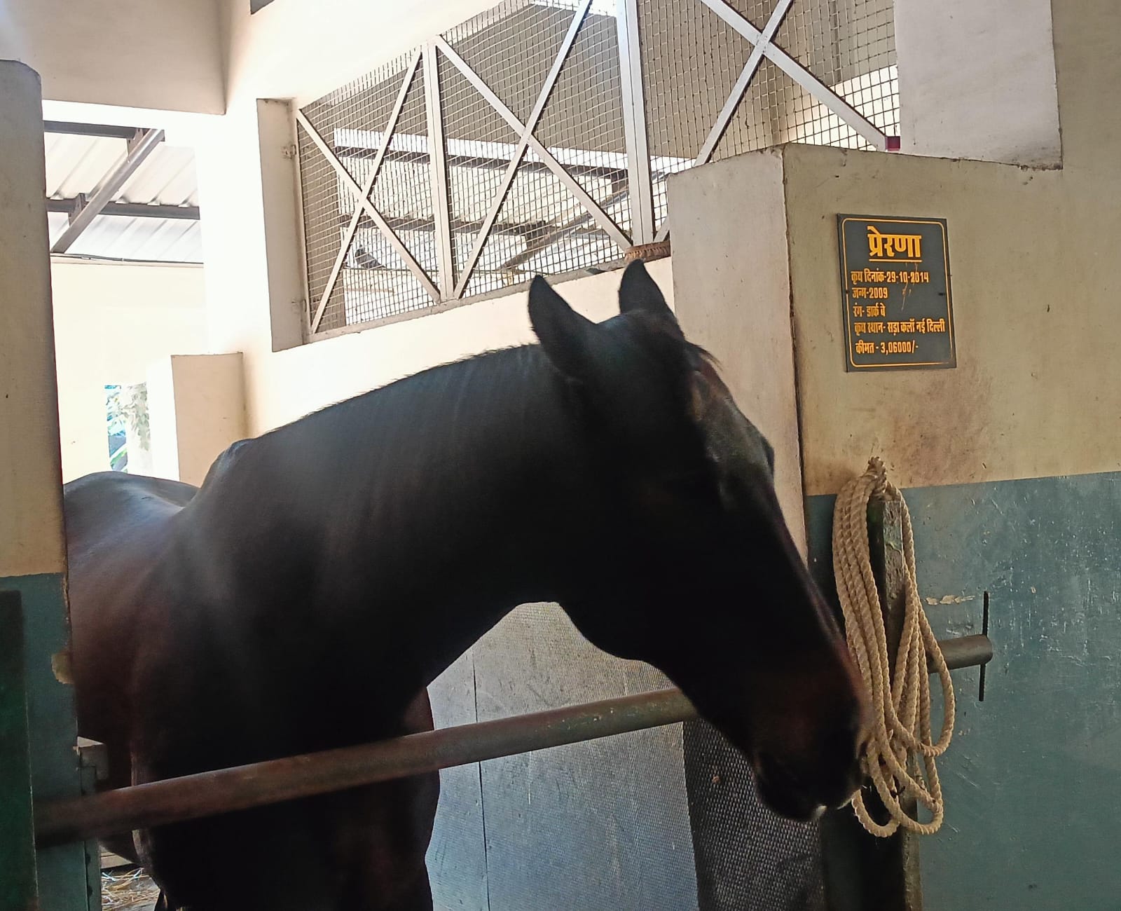 WhatsApp Image 2025 12 24 at 14.26.14 2