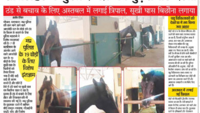 WhatsApp Image 2025 12 24 at 14.26.24