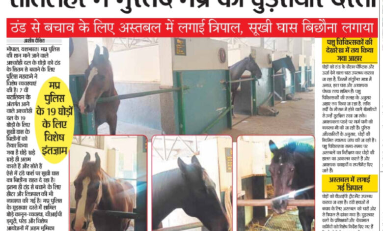 WhatsApp Image 2025 12 24 at 14.26.24