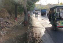 WhatsApp Image 2025 12 24 at 16.15.45