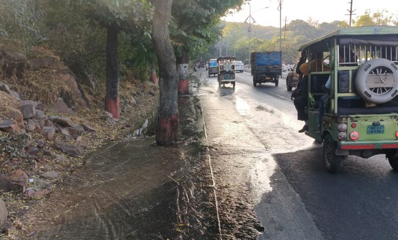 WhatsApp Image 2025 12 24 at 16.15.45