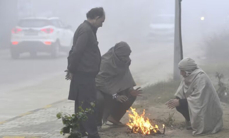 WhatsApp Image 2025 12 26 at 12.29.53