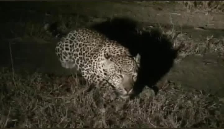 WhatsApp Image 2025 12 28 at 11.20.30