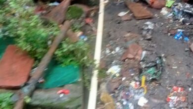 WhatsApp Image 2025 12 31 at 18.03.50