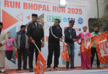 download 1 e1765101784306