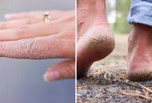 download 2025 12 01T163517.061