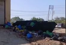 जीएमसी परिसर में अधजले जुड़वां नवजात: पीएम रिपोर्ट में खुलासा, दोनों मृत पैदा हुए 5 hamidya 1