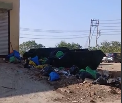 जीएमसी परिसर में अधजले जुड़वां नवजात: पीएम रिपोर्ट में खुलासा, दोनों मृत पैदा हुए 1 hamidya 1