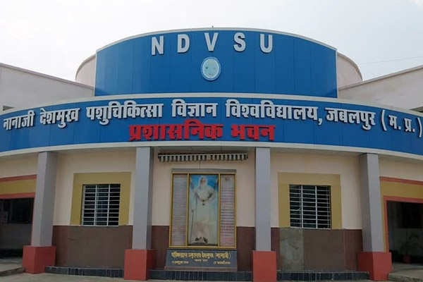 सरकारी फंड से गोवा भ्रमण, वेटरनरी विश्वविद्यालय में करोड़ों का घोटाला उजागर 1 01 4