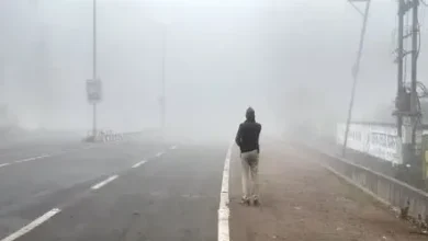 8145e7bd 88e5 4c9e ab94 552a6838621b