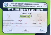 IMG 20260123 WA00481 1