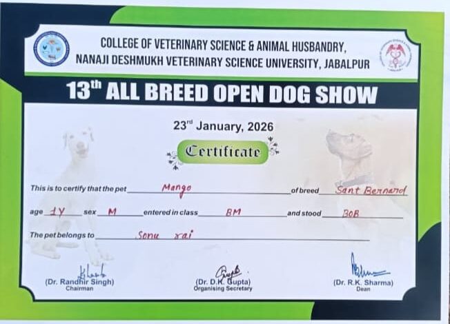 IMG 20260123 WA00481 1