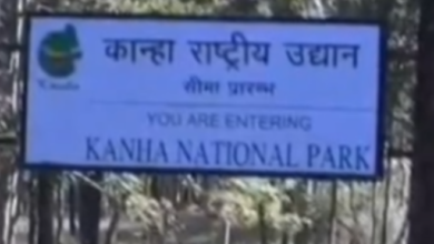 Screenshot 20260101 141430.Gallery