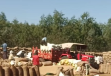 Screenshot 20260103 174537.WhatsApp