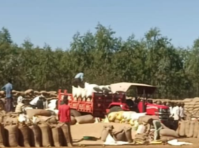 Screenshot 20260103 174537.WhatsApp