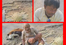 Screenshot 20260103 185341.Gallery