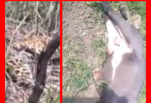 Screenshot 20260105 190552.Gallery