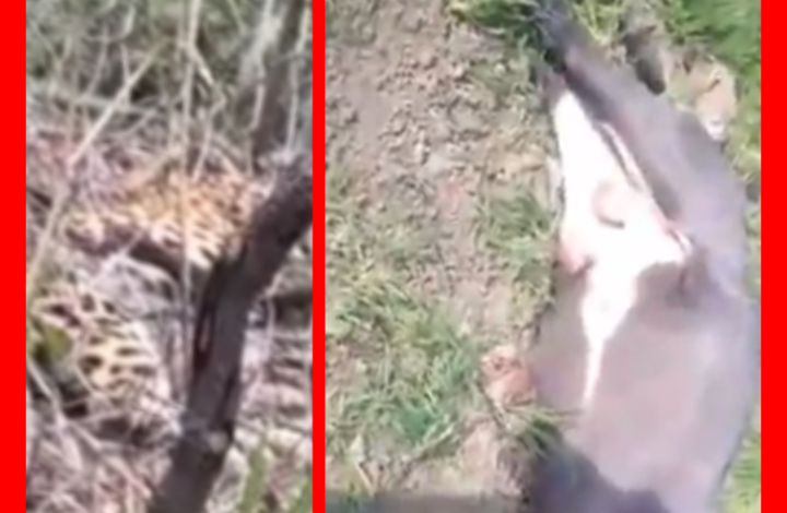 Screenshot 20260105 190552.Gallery