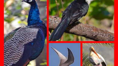 Screenshot 20260105 205525.Gallery