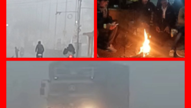 Screenshot 20260106 112214.Gallery