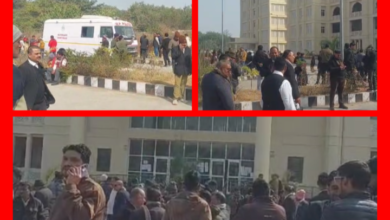 Screenshot 20260108 150726.Gallery