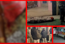 Screenshot 20260113 104636.Gallery