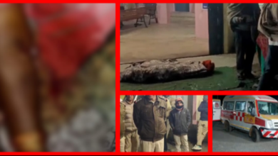 Screenshot 20260113 104636.Gallery