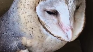 Screenshot 20260114 194813.WhatsApp