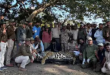 Screenshot 20260120 141746.WhatsApp