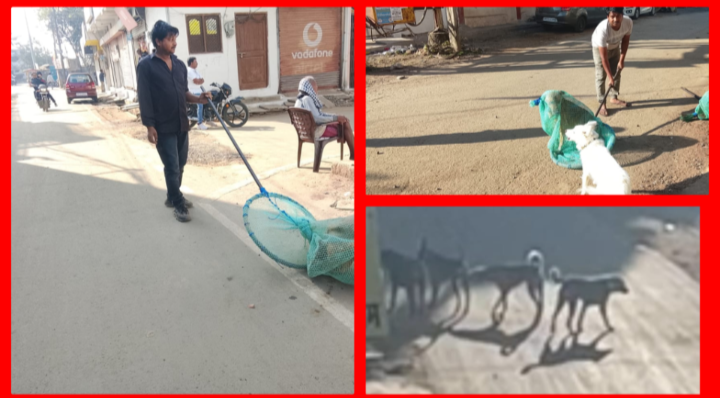 Screenshot 20260122 123017.Gallery